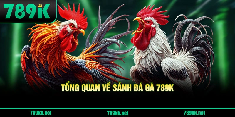 Tổng Quan Về Sảnh Đá Gà 789K